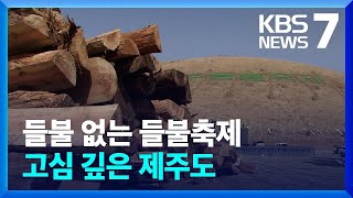 ‘들불 없는’ 제주들불축제…“시대 역행” 비판도 / KBS  2023.03.10.