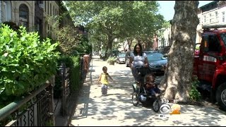 Block In Brooklyn Named Borough's Greenest Street