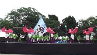 YOSAKOIソーラン日本海彦根三十五万石2013【天舞賤ヶ岳】