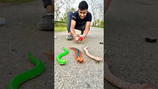 Remote control snake and Centipede Scolopendra Centipede Scolopendra