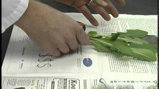 How to Submit Weed Samples