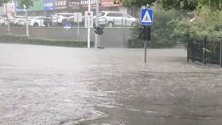 今晨的雨，9：02分，沧台路桥洞东已成“海洋”……