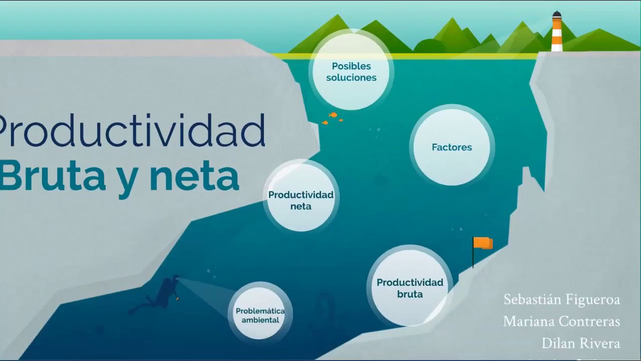 Productividad Bruta Y Neta - YouTube