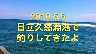 【5月】茨城県日立久慈漁港で魚釣りをしてきたよ