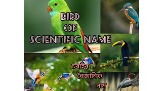 চৰাইৰ বৈজ্ঞানিক নাম-Scientific Name Of Birds ||Part.1 || 2022