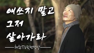 인생, 애쓰지 않아도 괜찮다. 지금 이 순간을 편하게 사는 법ㅣ힘 빼고 살아가는 지혜ㅣ애쓰지 말고 그저 살아가라