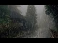 Sonido de Lluvia y Truenos para Dormir Profundamente - Lluvia Relajante en Bosque Brumoso #96