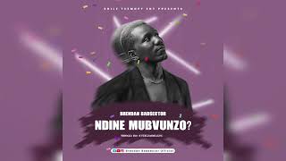 Brendan Badsector  - Ndine mubvunzo? Prod By Steezybeats