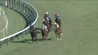 2021.10.17 Momiji Stakes (JPN) - Kaju Faith