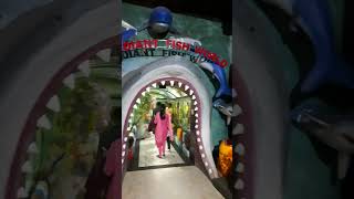 Radiant fish world।। Cox’s Bazar।। Md Motiur Rahman