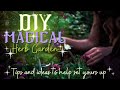 🌱 DIY Magical Herb Garden 🌱 Witchcraft 101 🧙‍♀️ & magical qualities 💚🌱