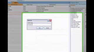 IPT TUTORIAL - MICROSOFT ACCESS (data dictionary / schema / data validation / database)
