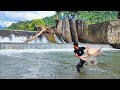 FISH FISH AT THE WATER GATE, LOOK AT THE RESULT.!!! fishing nets videos