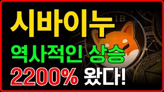 [ 시바이누 shib ] 역사적인 상승..! 2200% 왔다!!