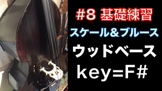 【ウッドベース】改良版 #8 初心者用基礎練習 『F#メジャースケール＆F#ブルース』