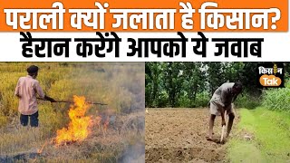 Parali Issue Facts: हर तरफ किसान के पराली जलाने का शोर है, क्या आप जानते हैं इससे जुड़े सही फैक्टस?