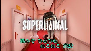 【SUPERLIMINAL】#2　■い頭を(ΦωΦ)くする。製品版で頭ひねひねねこねこ実況