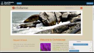 A/B testing using Visual Website Optimizer