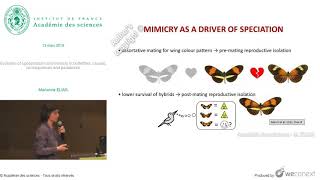 [Conférence] M. ELIAS - Evolution of aposematism and mimicry in butterflies: causes, consequences a