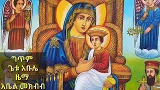 የሰላሜ ሰላም አዲስ የእመቤታችን ዝማሬ