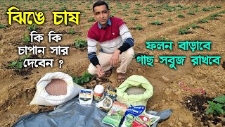 ঝিঙে চাষে বাড়তি ফলন পাওয়ার জন্য কি কি চাপান সার প্রয়োগ করবেন?কি কি সার দিলে ঝিঙ্গেতে ফলন বাড়ে?