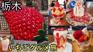 【栃木】いちごグルメ食べ歩き 日帰り旅行