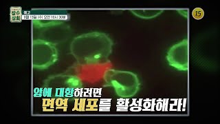 면역력 지키는 건강 비법_장수상회 53회 예고 TV CHOSUN 230913 방송