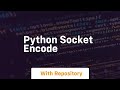python socket encode