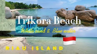 Trikora Beach Bliss: Exploring Indonesia's White Sands and Azure Waters | Subscribe Now!