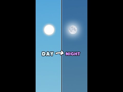 How to Add a Day-Night Cycle in Roblox Studio with Code (Beginner-Friendly Tutorial)