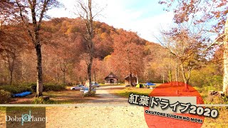 紅葉ドライブ【4K】奥利根水源の森と坤六峠｜A Gentle Drive through the Konroku Pass｜Beautiful Autumn Leaves.