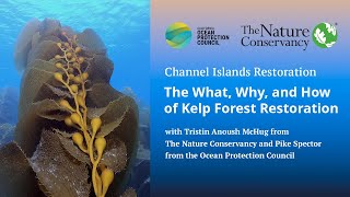 The What, Why, and How of Kelp Forest Restoration