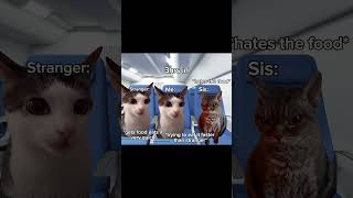Another plane video since previous one was loved! #cat #viral #meme #relatable #catmemes #fyp #viral