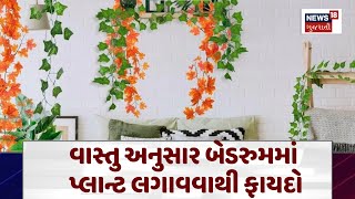 Vastu Shastra : વાસ્તુ અનુસાર બેડરુમમાં પ્લાન્ટ લગાવવાથી ફાયદો | Money Plant |  Gujarati News | N18V