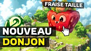 NOUVEAU DONJON \u0026 PANOPLIE sur DOFUS (LEAK)