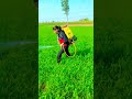 kisan life 🌱 farming shortvideo 🌱