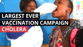 CHOLERA | Largest Ever Oral Vaccination Campaign Underway in Zambia