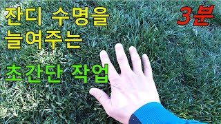 잔디를 건강하게 유지하기 위한 통기작업 (lawn aeration)을 쉽게 하는 방법.