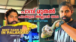 പാലക്കാട് ഇതുപോലൊരു സ്ഥലം | Best Day Out Location in Palakkad - Thanima Farm Life