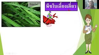 สื่อการสอนออนไลน์ วิชาวิทยาศาสตร์ ป4 ครั้งที่ 2 (1/1)