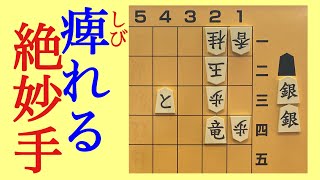 詰将棋　一撃必殺