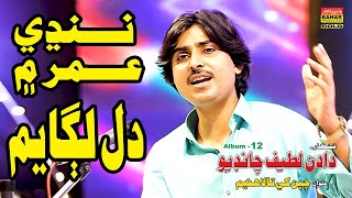 Nindhi Umar Main Dil | Dadan Latif Chandio | Album 12 | Bahar Gold Production