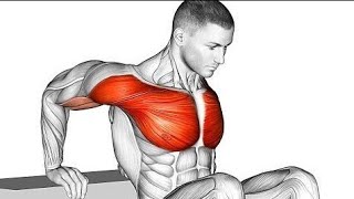 8 Best Chest Workout  | Bigger Chest Exercise