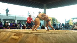 20191110 東日本学生相撲競技会 個人戦 準決勝 160931