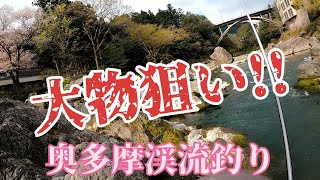 【渓流釣り】奥多摩御岳橋#4