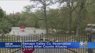 Ramapo Valley County Reservation Closed After Coyote Attacks