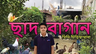 শহরে একটু গ্রাম এর ছোঁয়া । ছাদ বাগান । ছাদের মিনি চিড়িয়াখানা