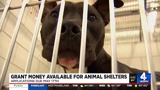 Grant money available for animal shelters