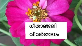 19. മൗനം (ഗീതാഞ്ജലി)#Gitanjali #Tagore #Translation #ഗീതാഞ്ജലി #ടാഗോർ #വിവർത്തനം