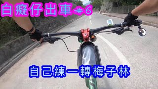 白癡仔出車#6 普普通通踩一轉梅子林